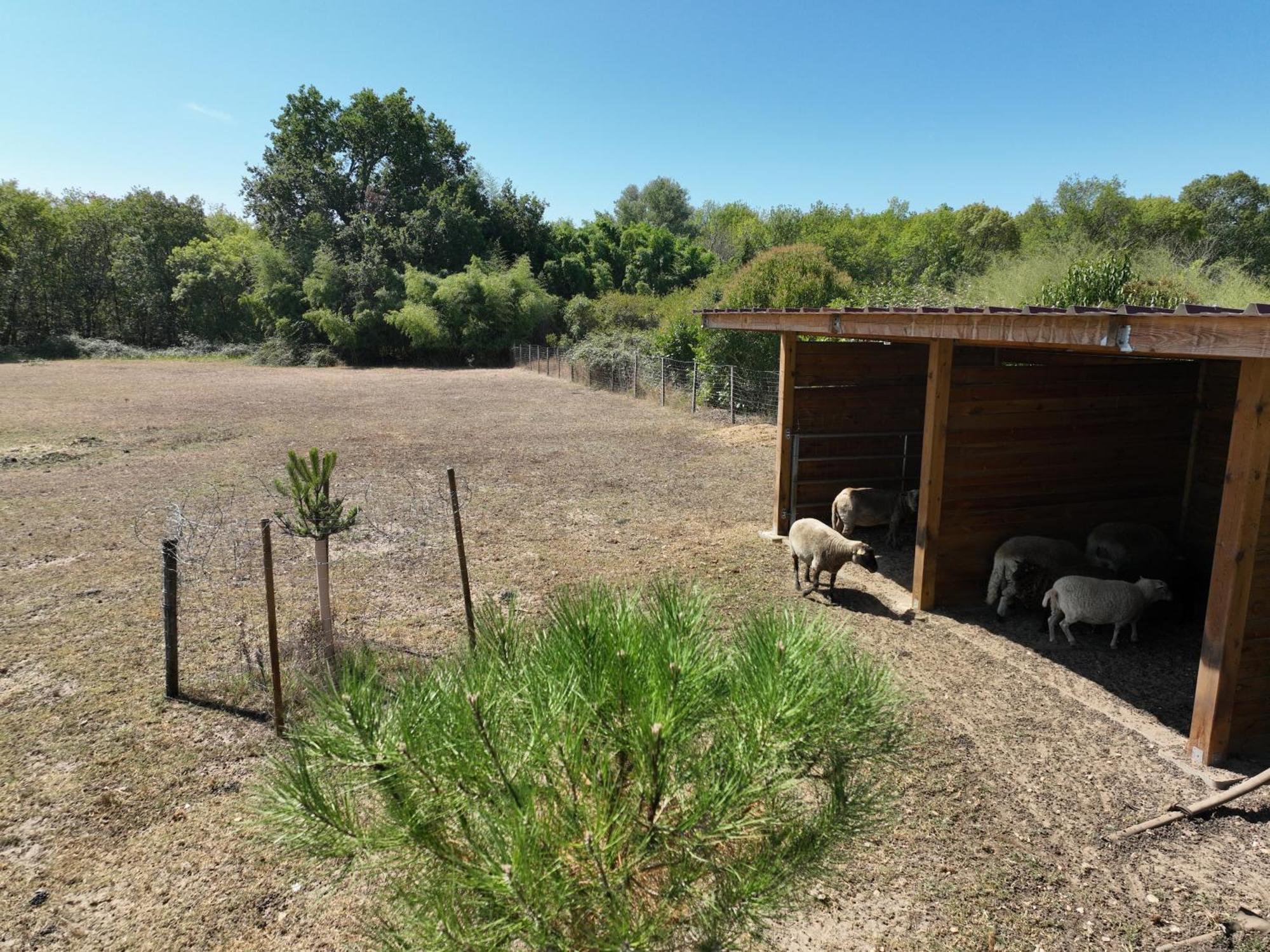 Villa Des Grands Crus Cadaujac Exterior foto